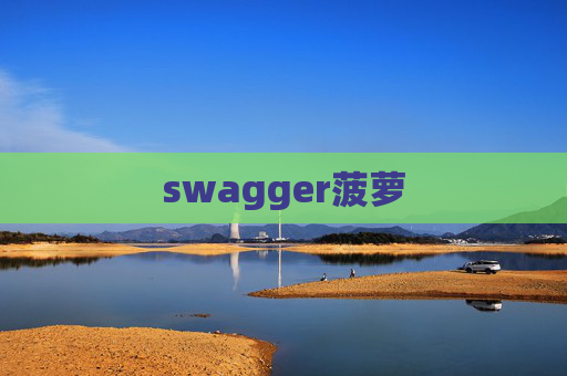 swagger菠萝 swagger菠萝
